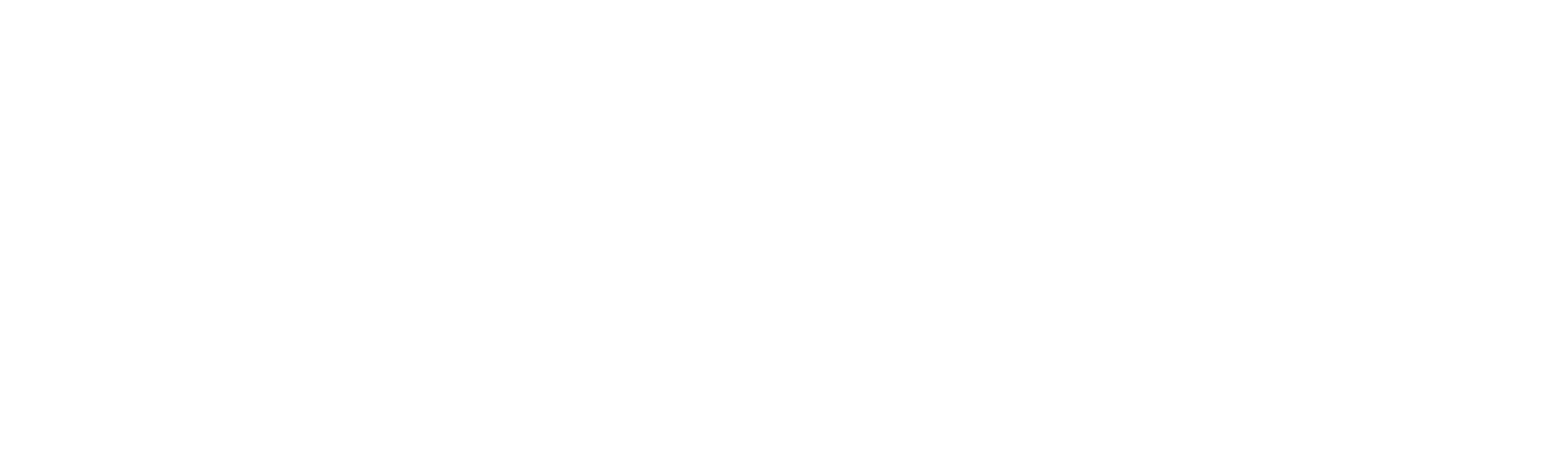 Primary Logo White